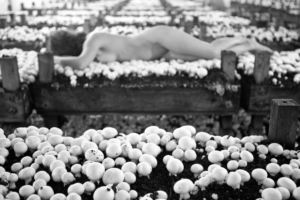 Nude photography art woman hiding