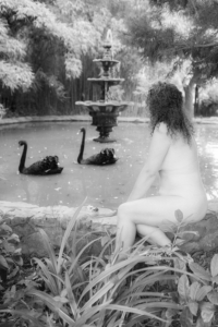 woman sitting with black swans in a fountain