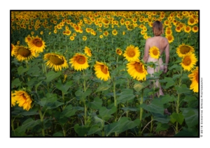 woman standing in sunflowers
