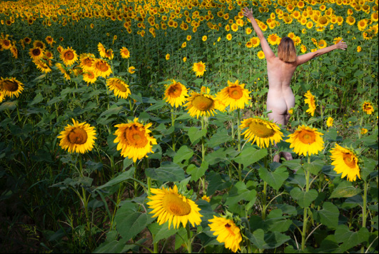 woman dancing in sunflowers
